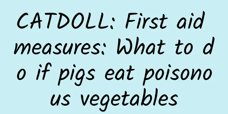 CATDOLL: First aid measures: What to do if pigs eat poisonous vegetables