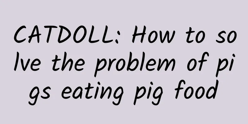 CATDOLL: How to solve the problem of pigs eating pig food