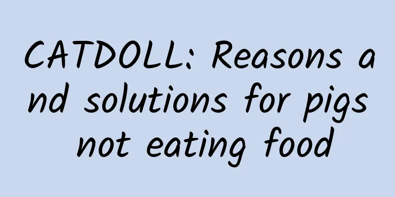 CATDOLL: Reasons and solutions for pigs not eating food