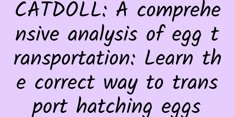 CATDOLL: A comprehensive analysis of egg transportation: Learn the correct way to transport hatching eggs