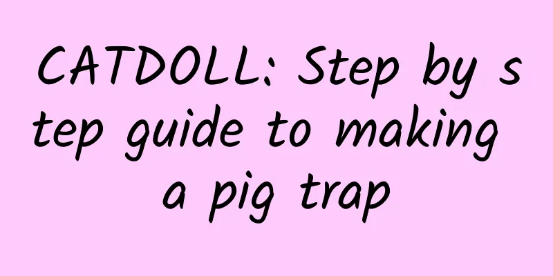 CATDOLL: Step by step guide to making a pig trap