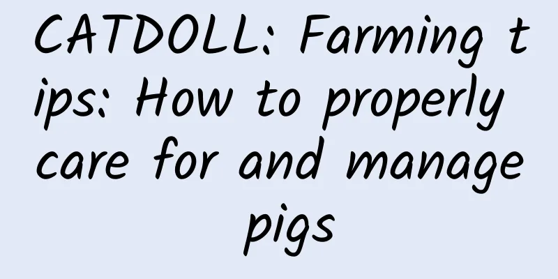 CATDOLL: Farming tips: How to properly care for and manage pigs