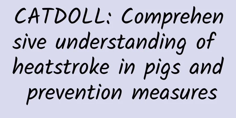 CATDOLL: Comprehensive understanding of heatstroke in pigs and prevention measures