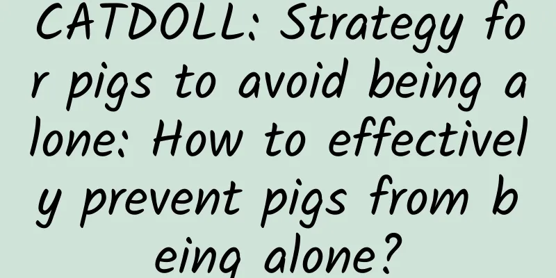 CATDOLL: Strategy for pigs to avoid being alone: ​​How to effectively prevent pigs from being alone?