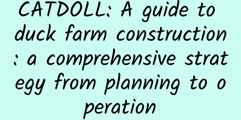 CATDOLL: A guide to duck farm construction: a comprehensive strategy from planning to operation