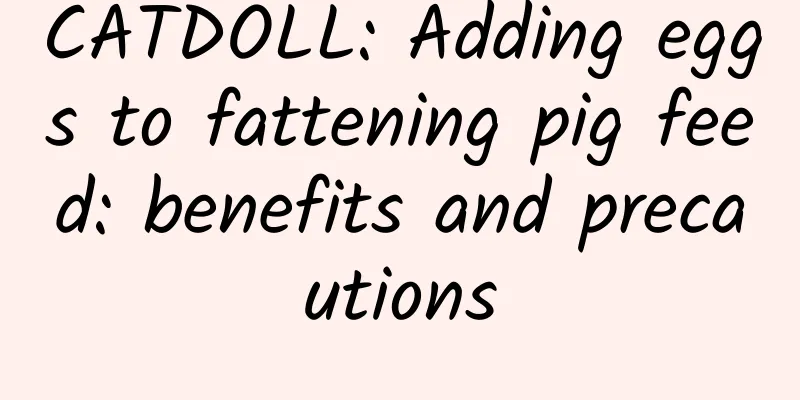 CATDOLL: Adding eggs to fattening pig feed: benefits and precautions