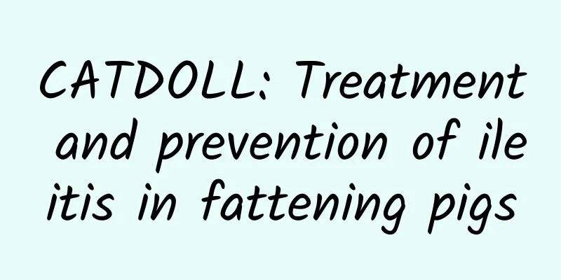 CATDOLL: Treatment and prevention of ileitis in fattening pigs