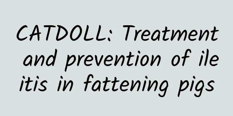 CATDOLL: Treatment and prevention of ileitis in fattening pigs