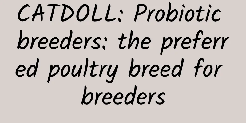 CATDOLL: Probiotic breeders: the preferred poultry breed for breeders