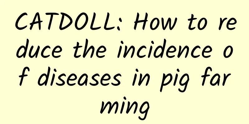 CATDOLL: How to reduce the incidence of diseases in pig farming