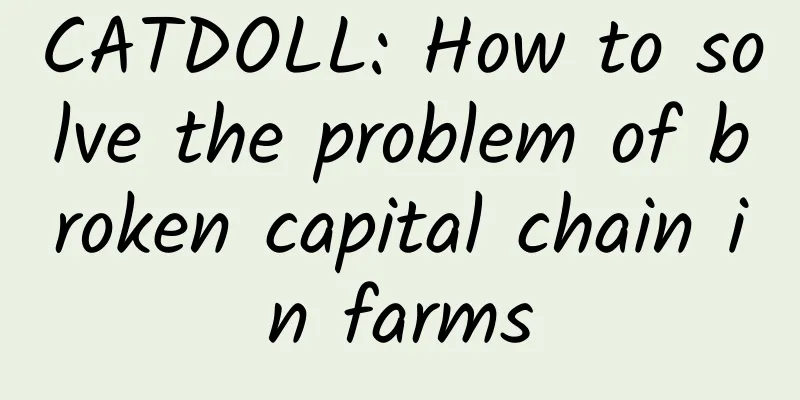 CATDOLL: How to solve the problem of broken capital chain in farms