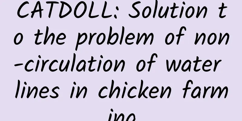 CATDOLL: Solution to the problem of non-circulation of water lines in chicken farming