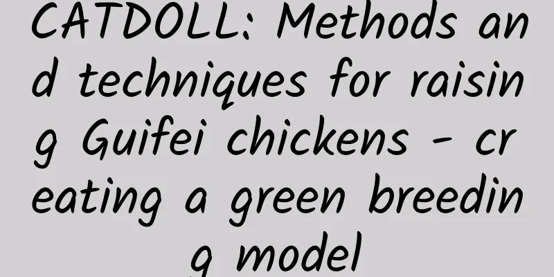 CATDOLL: Methods and techniques for raising Guifei chickens - creating a green breeding model