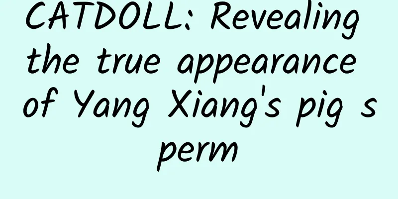 CATDOLL: Revealing the true appearance of Yang Xiang's pig sperm