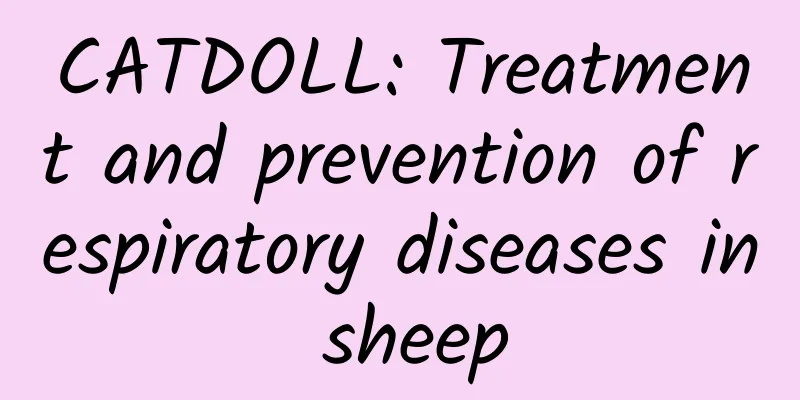 CATDOLL: Treatment and prevention of respiratory diseases in sheep