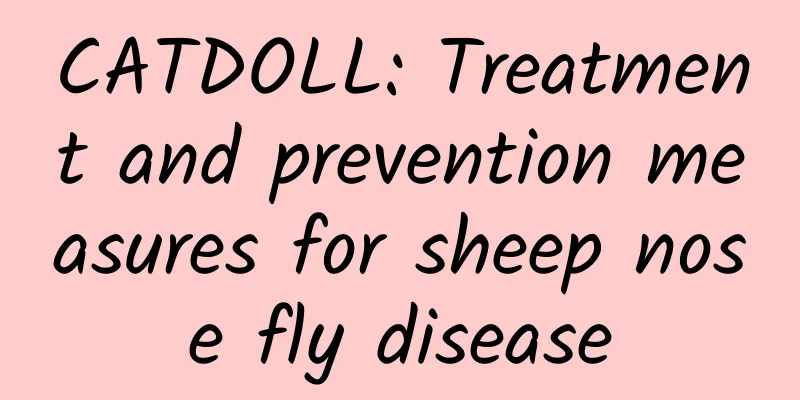 CATDOLL: Treatment and prevention measures for sheep nose fly disease