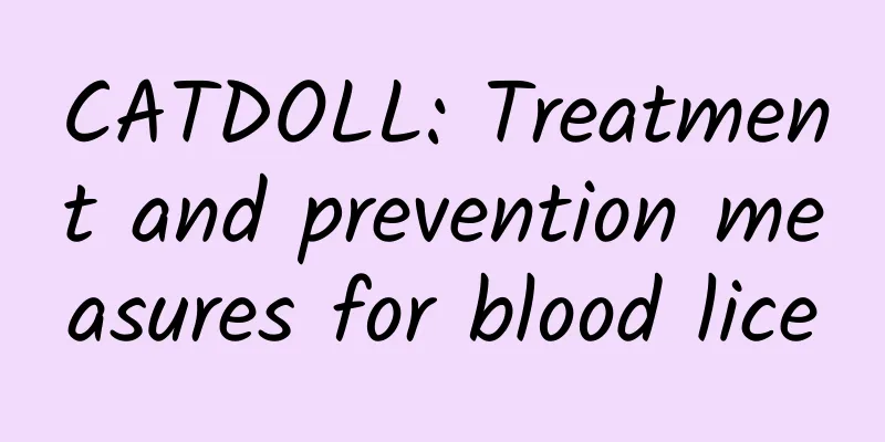 CATDOLL: Treatment and prevention measures for blood lice