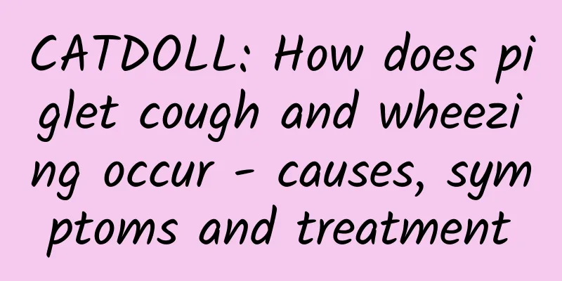 CATDOLL: How does piglet cough and wheezing occur - causes, symptoms and treatment