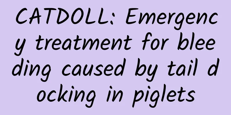CATDOLL: Emergency treatment for bleeding caused by tail docking in piglets