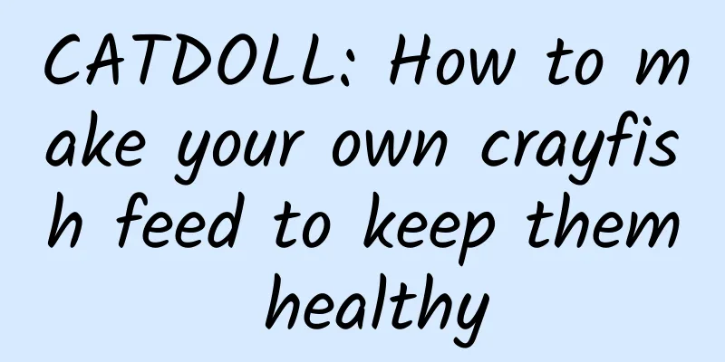 CATDOLL: How to make your own crayfish feed to keep them healthy
