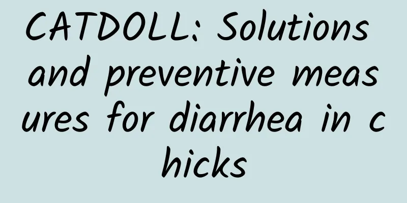 CATDOLL: Solutions and preventive measures for diarrhea in chicks