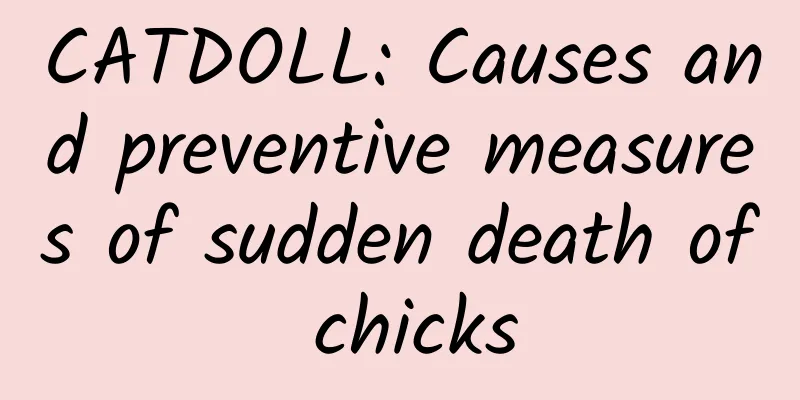 CATDOLL: Causes and preventive measures of sudden death of chicks