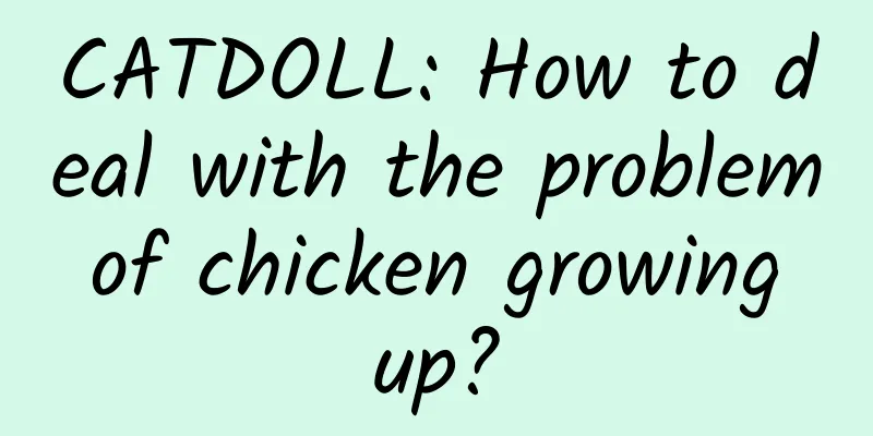 CATDOLL: How to deal with the problem of chicken growing up?