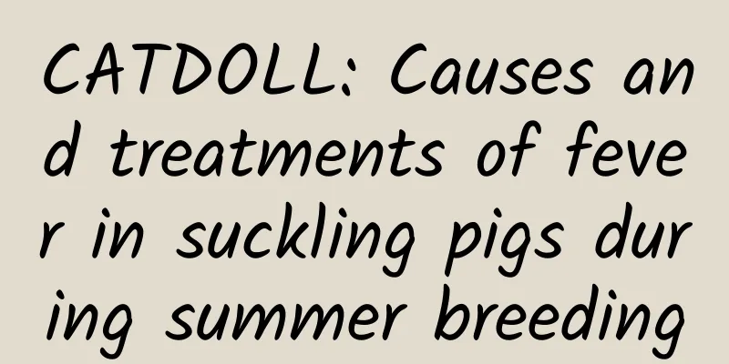 CATDOLL: Causes and treatments of fever in suckling pigs during summer breeding