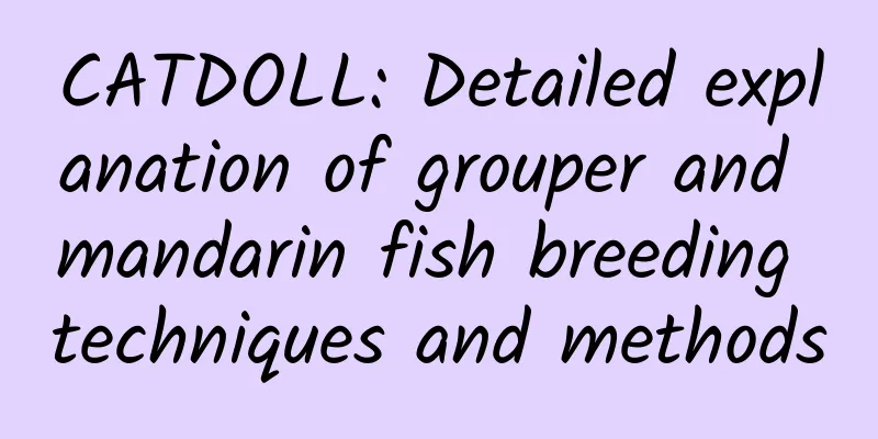 CATDOLL: Detailed explanation of grouper and mandarin fish breeding techniques and methods