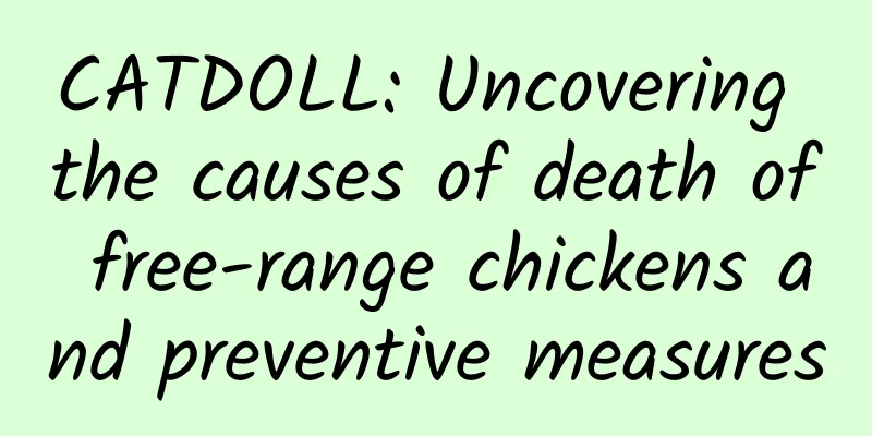 CATDOLL: Uncovering the causes of death of free-range chickens and preventive measures
