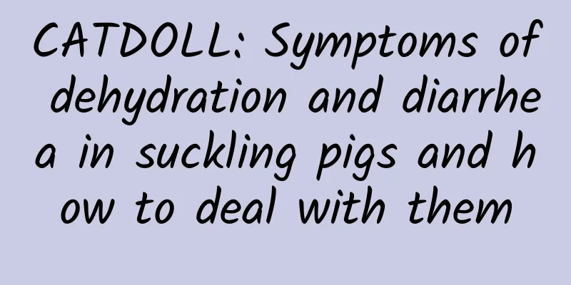CATDOLL: Symptoms of dehydration and diarrhea in suckling pigs and how to deal with them