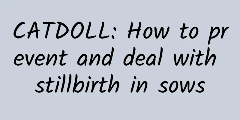 CATDOLL: How to prevent and deal with stillbirth in sows