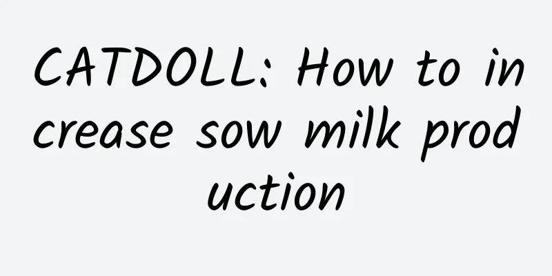 CATDOLL: How to increase sow milk production