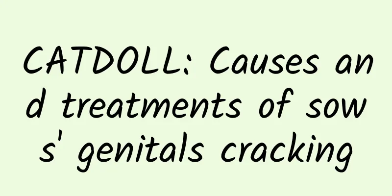 CATDOLL: Causes and treatments of sows' genitals cracking