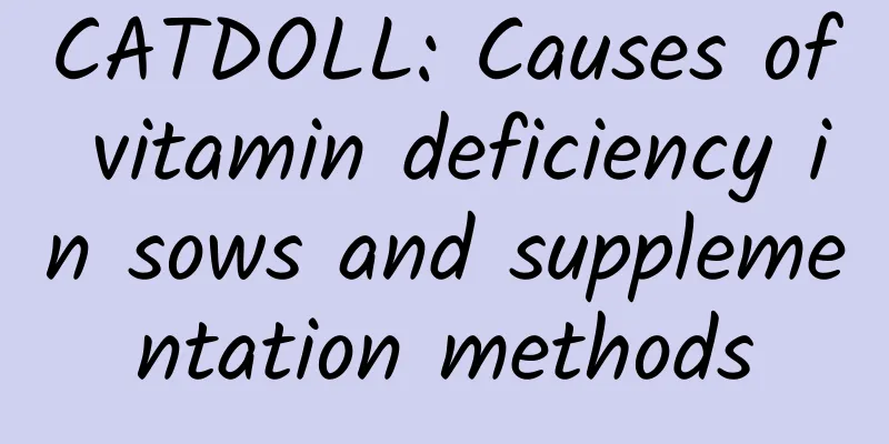 CATDOLL: Causes of vitamin deficiency in sows and supplementation methods