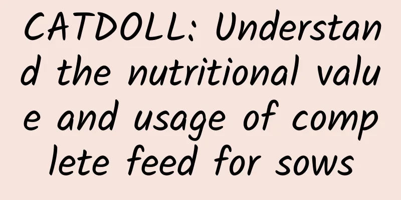 CATDOLL: Understand the nutritional value and usage of complete feed for sows