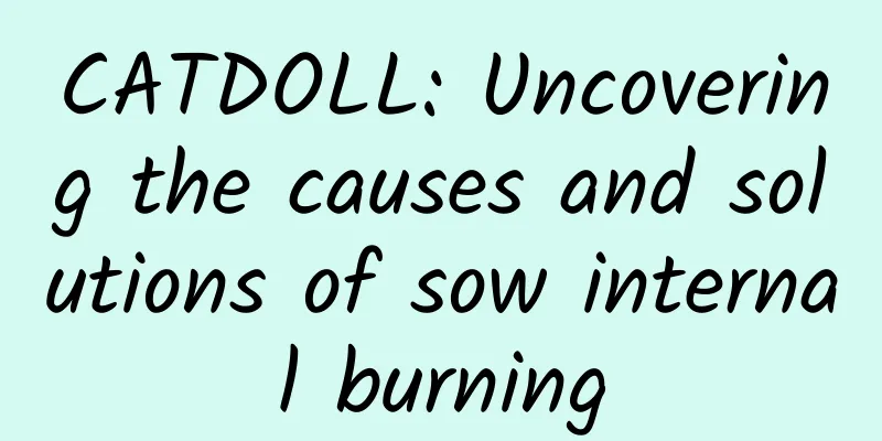 CATDOLL: Uncovering the causes and solutions of sow internal burning