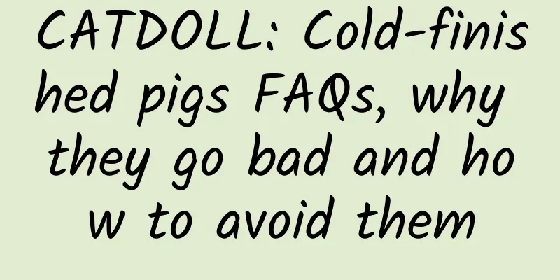 CATDOLL: Cold-finished pigs FAQs, why they go bad and how to avoid them