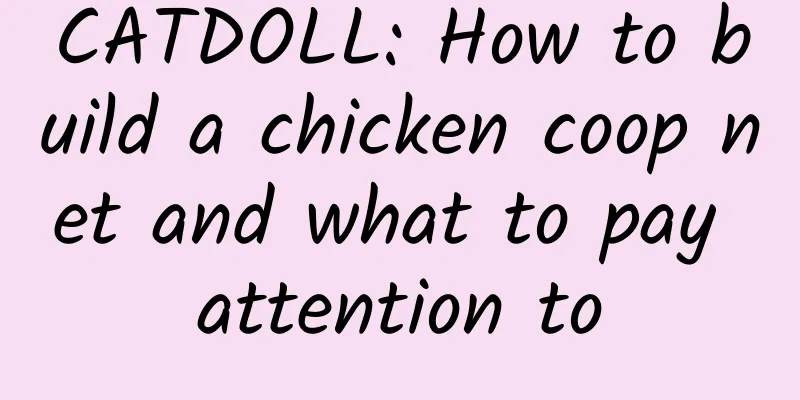 CATDOLL: How to build a chicken coop net and what to pay attention to
