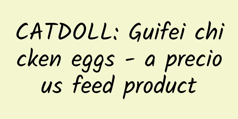CATDOLL: Guifei chicken eggs - a precious feed product