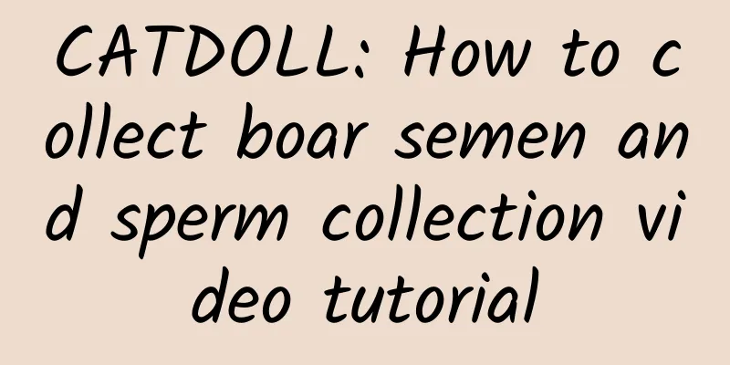 CATDOLL: How to collect boar semen and sperm collection video tutorial