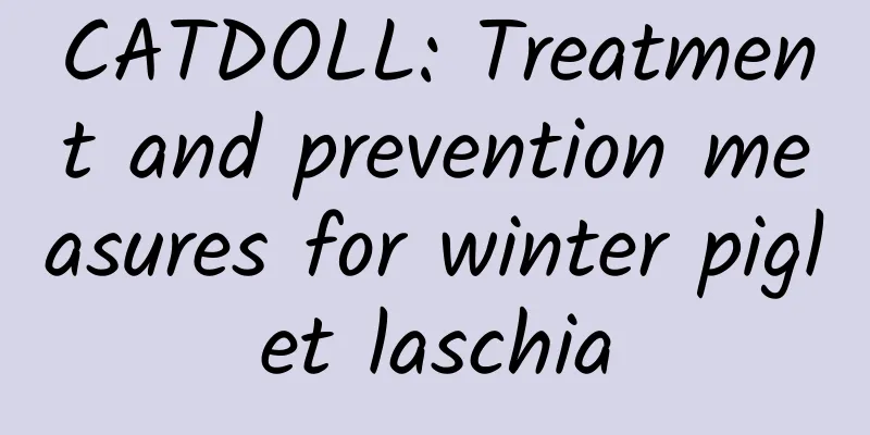 CATDOLL: Treatment and prevention measures for winter piglet laschia