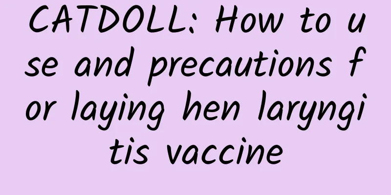 CATDOLL: How to use and precautions for laying hen laryngitis vaccine