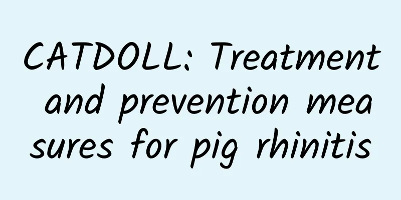CATDOLL: Treatment and prevention measures for pig rhinitis