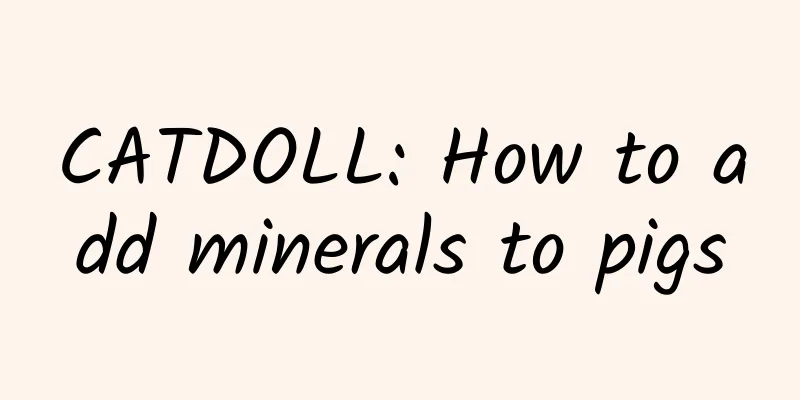 CATDOLL: How to add minerals to pigs
