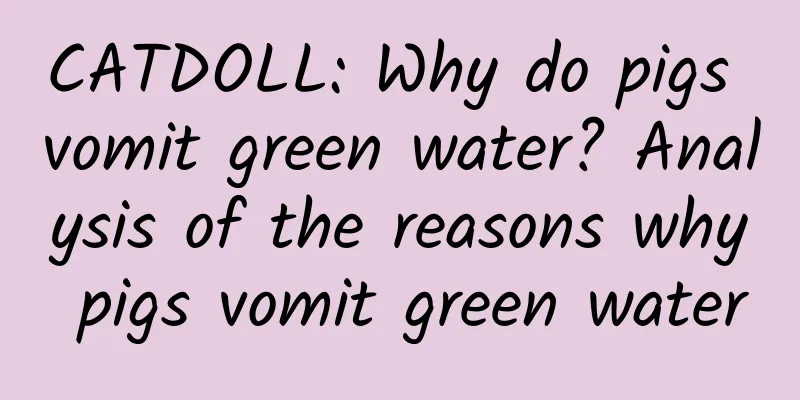 CATDOLL: Why do pigs vomit green water? Analysis of the reasons why pigs vomit green water