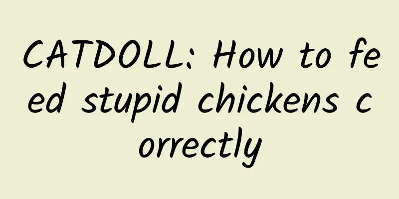 CATDOLL: How to feed stupid chickens correctly