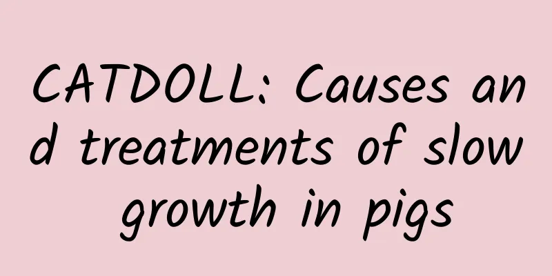 CATDOLL: Causes and treatments of slow growth in pigs