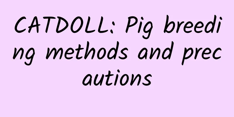 CATDOLL: Pig breeding methods and precautions