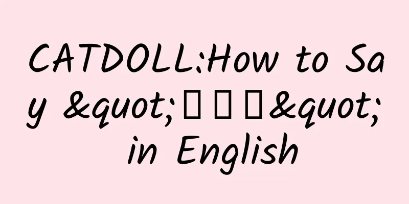 CATDOLL:How to Say "猪老大" in English